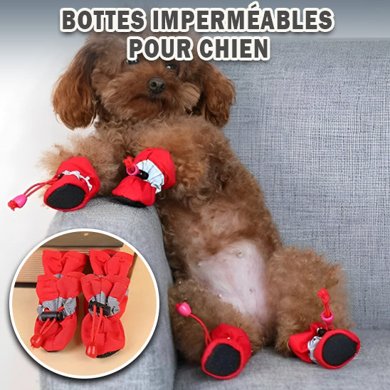 Chaussure pour chien | RUNPAW™