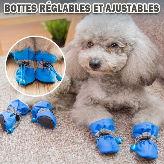 Chaussure pour chien | RUNPAW™