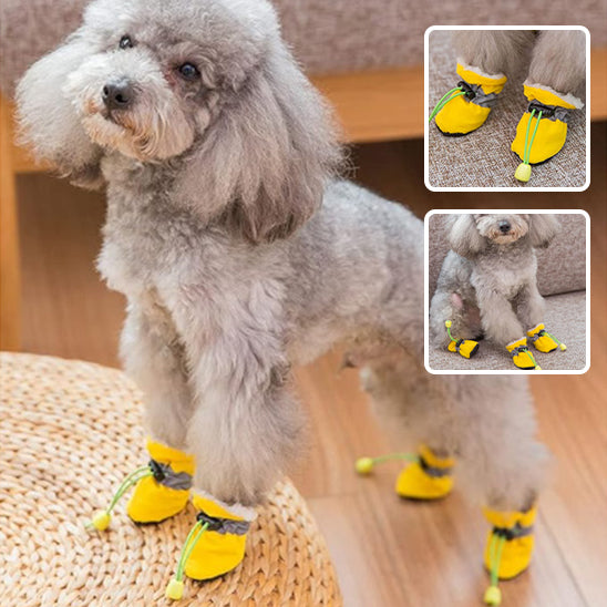 Chaussure pour chien | RUNPAW™