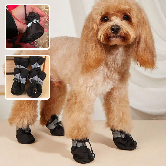 Chaussure pour chien | RUNPAW™