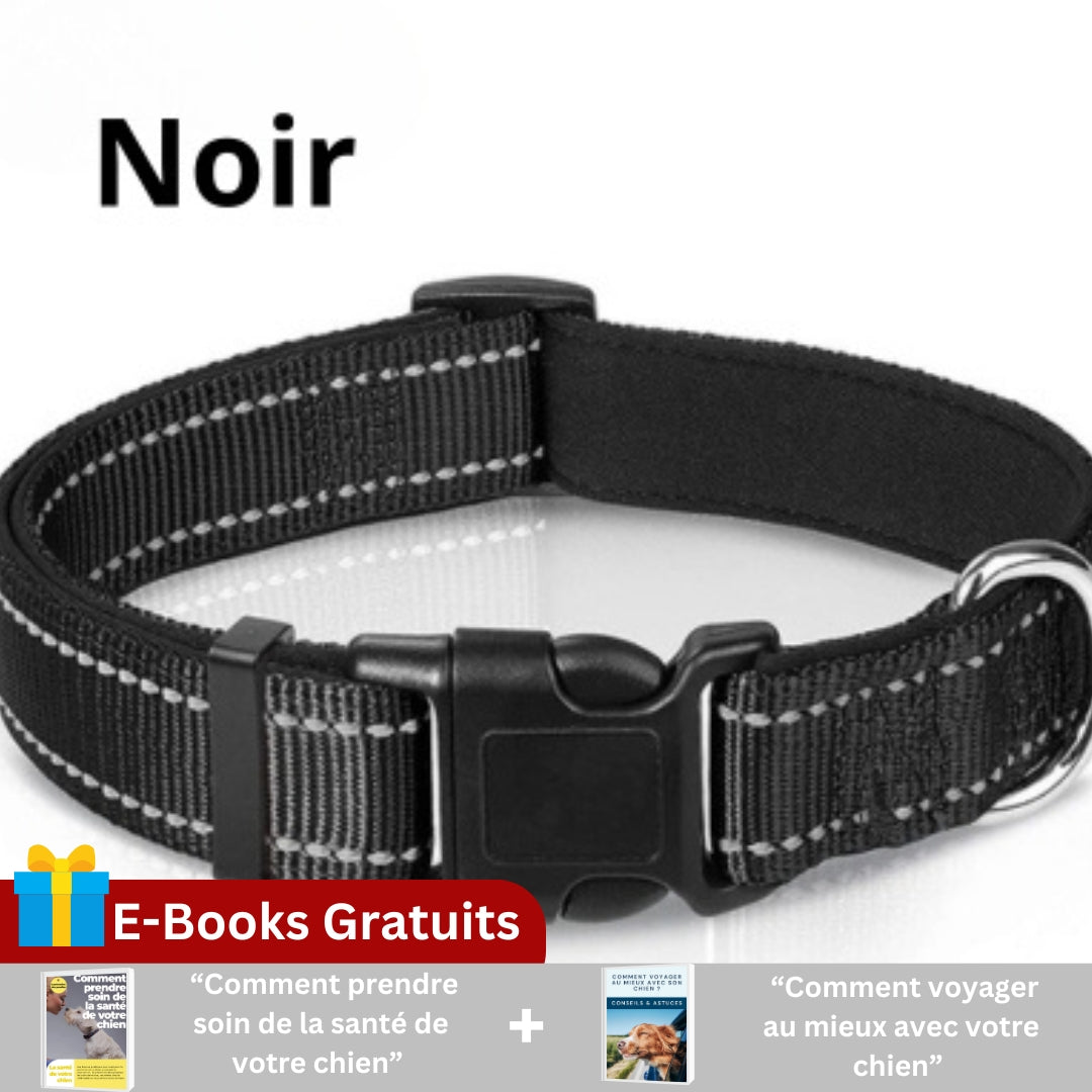 collier-pour-chien; 