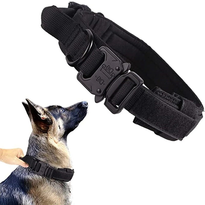 Collier pour chien | SENTINELLE™