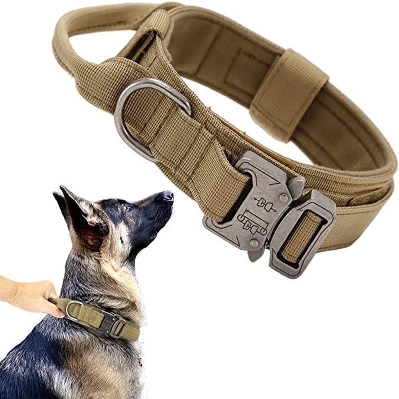 Collier pour chien | SENTINELLE™