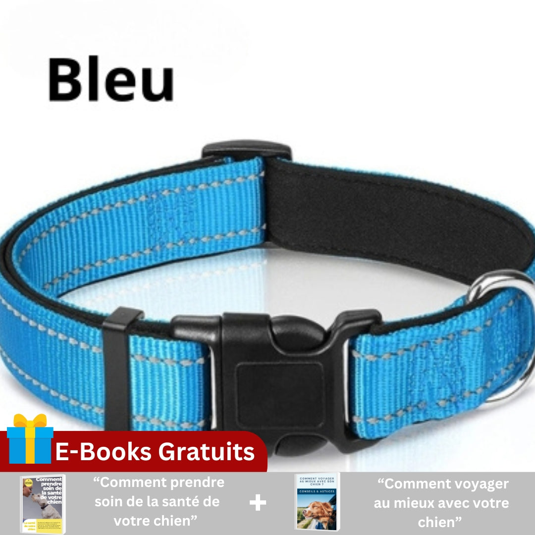 collier-pour-chien; 