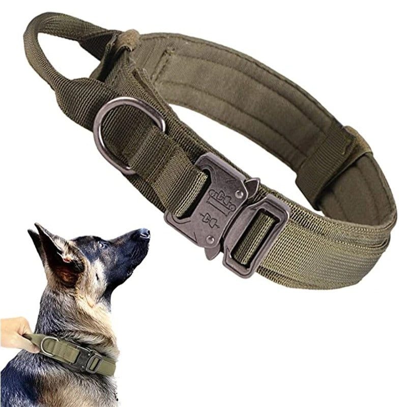 Collier pour chien | SENTINELLE™