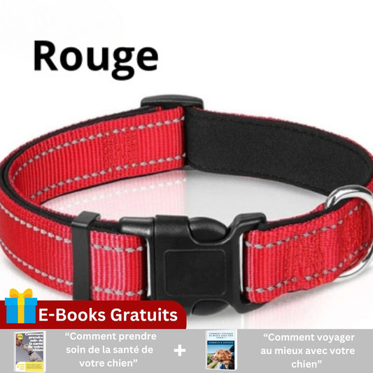 collier-pour-chien; 