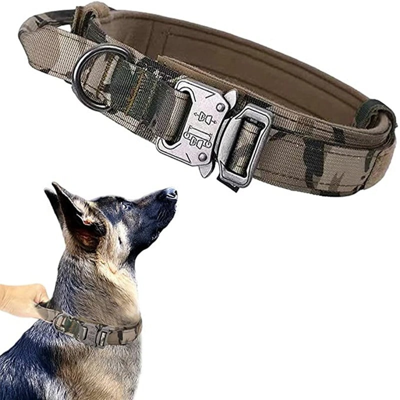 Collier pour chien | SENTINELLE™