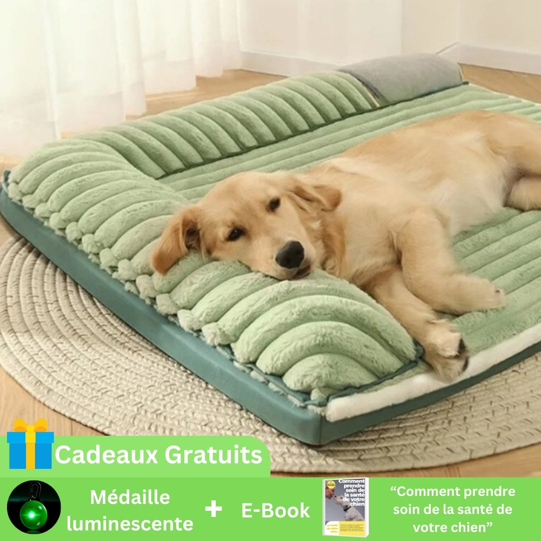 coussin-pour-chien