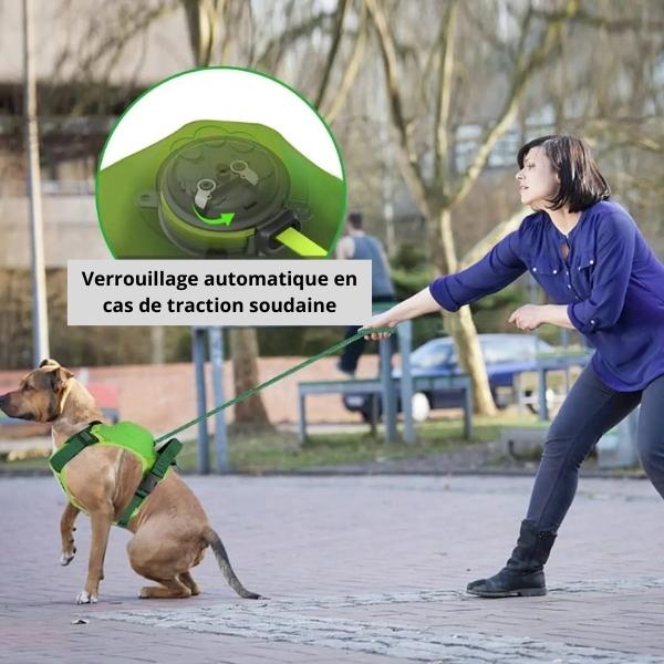 harnais-anti-traction-chien