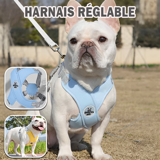 harnais-pour-chien