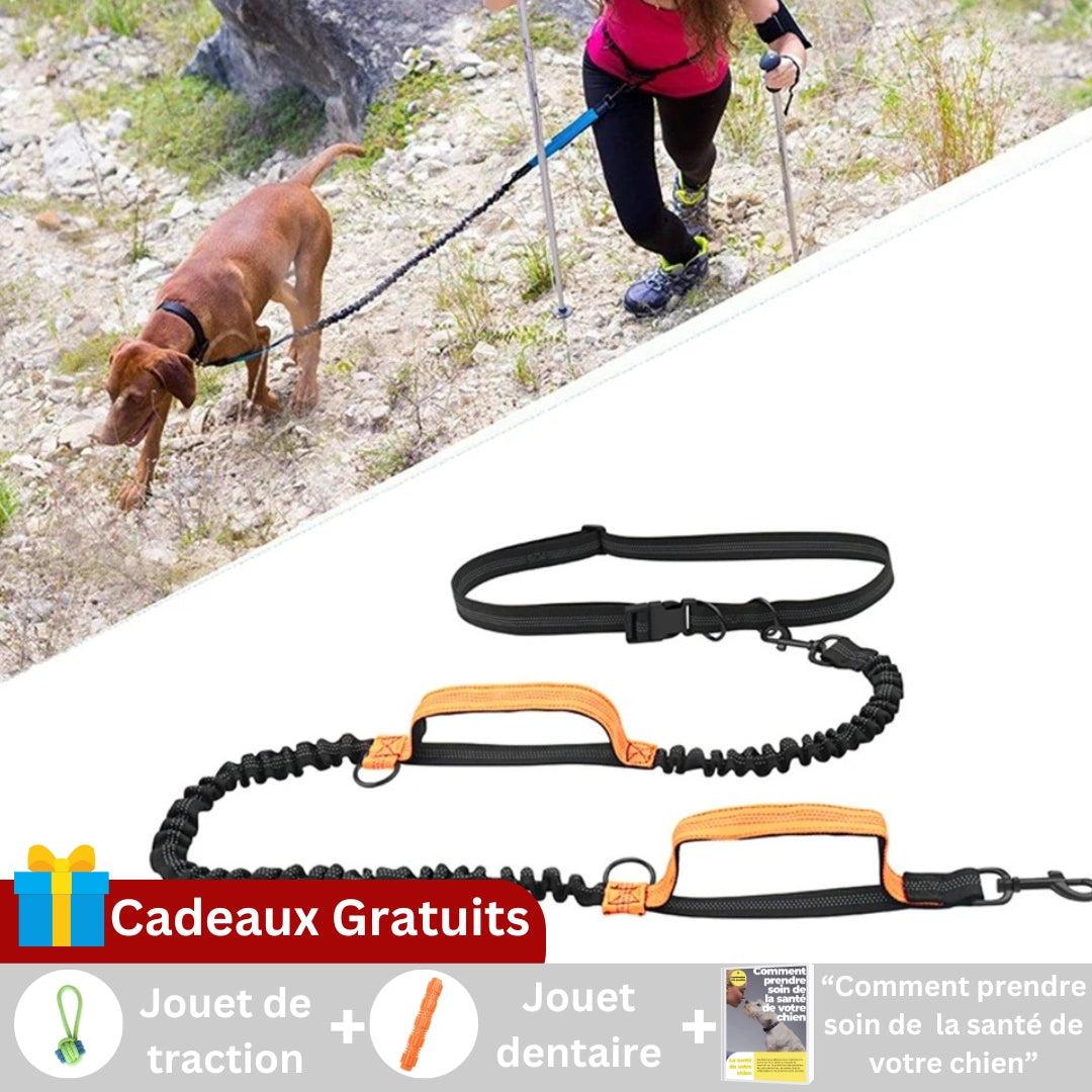 Longe pour chien | SPORTILAISSE™