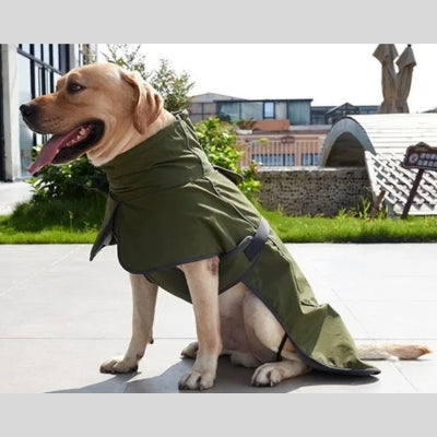 manteau-pour-chien