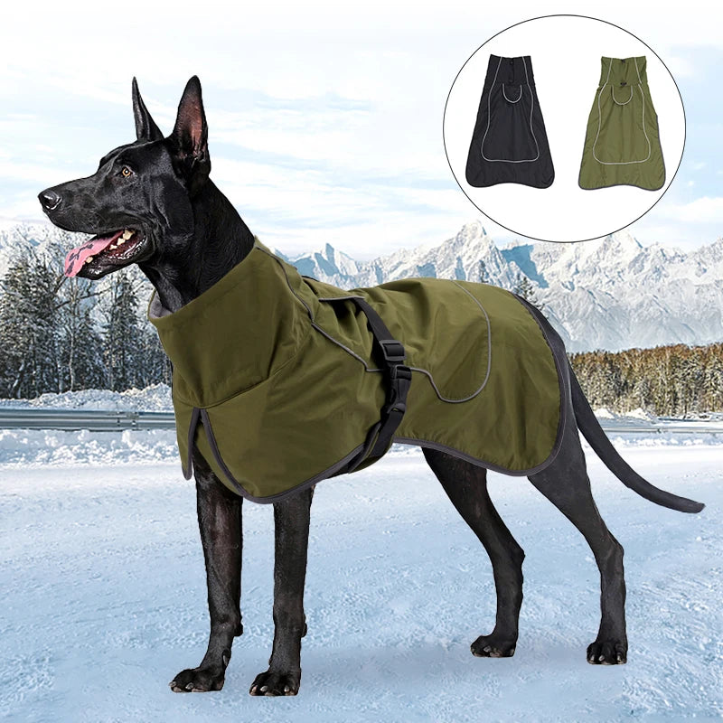 manteau-pour-chien