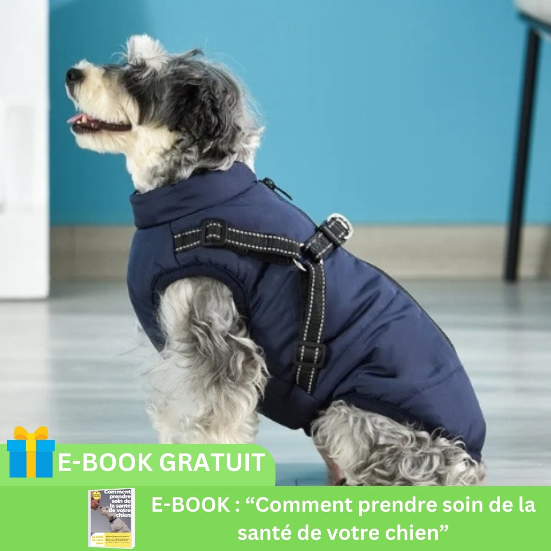 manteau-pour-chien