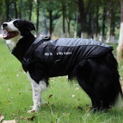 Manteau pour chien | ARTICTAIL™