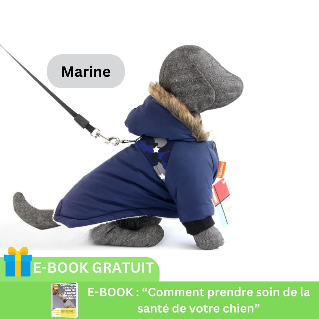 manteau-pour-chien