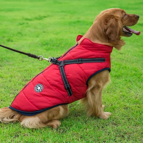 manteau-pour-chien