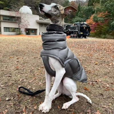 Manteau pour chien | DOGWARM™