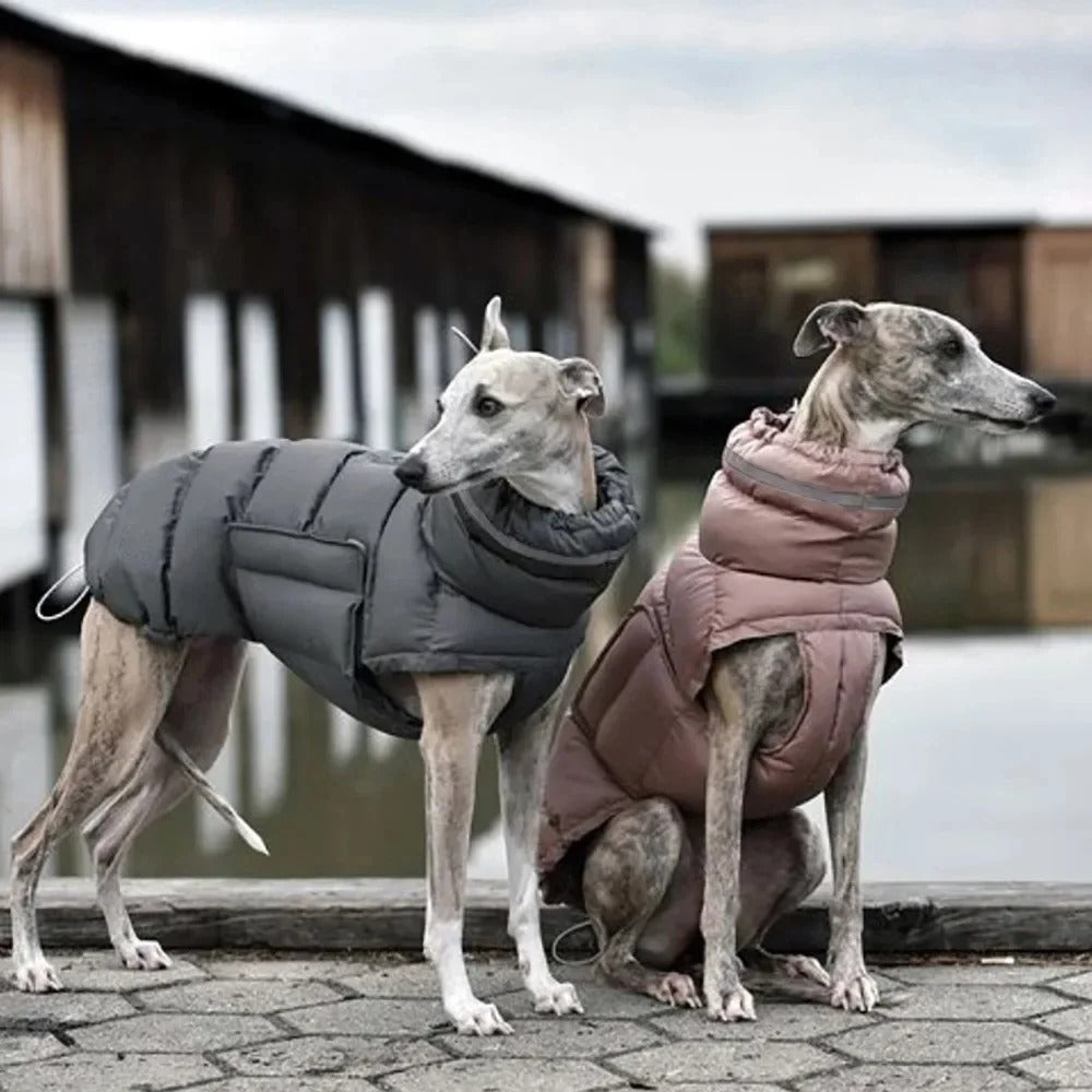 Manteau pour chien | DOGWARM™