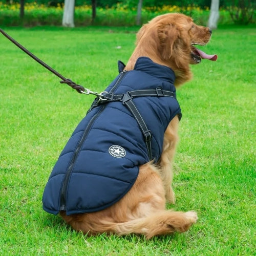 manteau-pour-chien