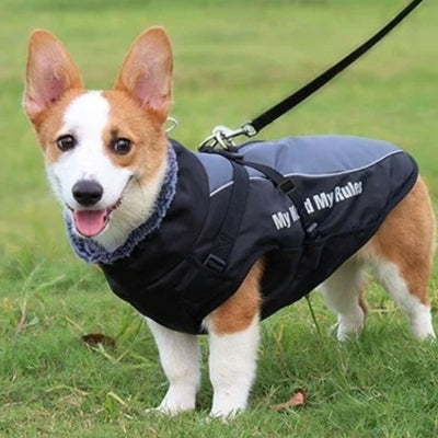 Manteau pour chien | ARTICTAIL™