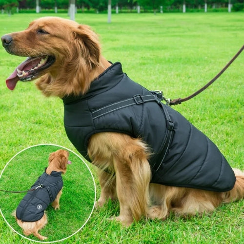 manteau-pour-chien