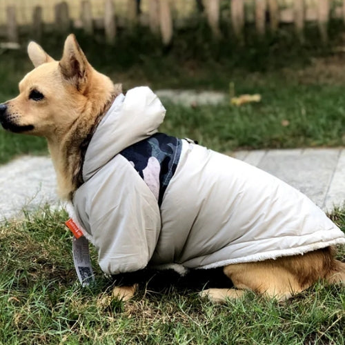 manteau-pour-chien