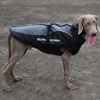 Manteau pour chien | ARTICTAIL™