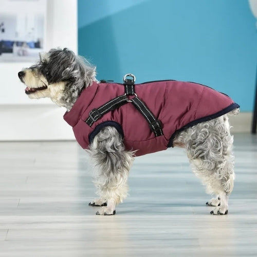 manteau-pour-chien