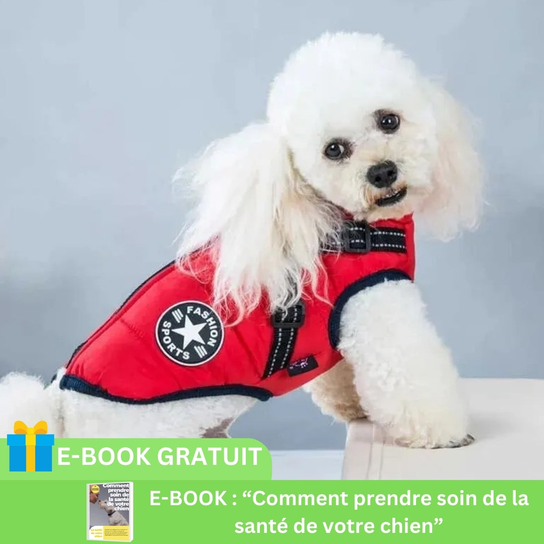 manteau-pour-chien