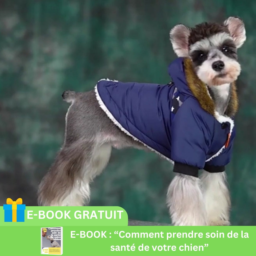 manteau-pour-chien