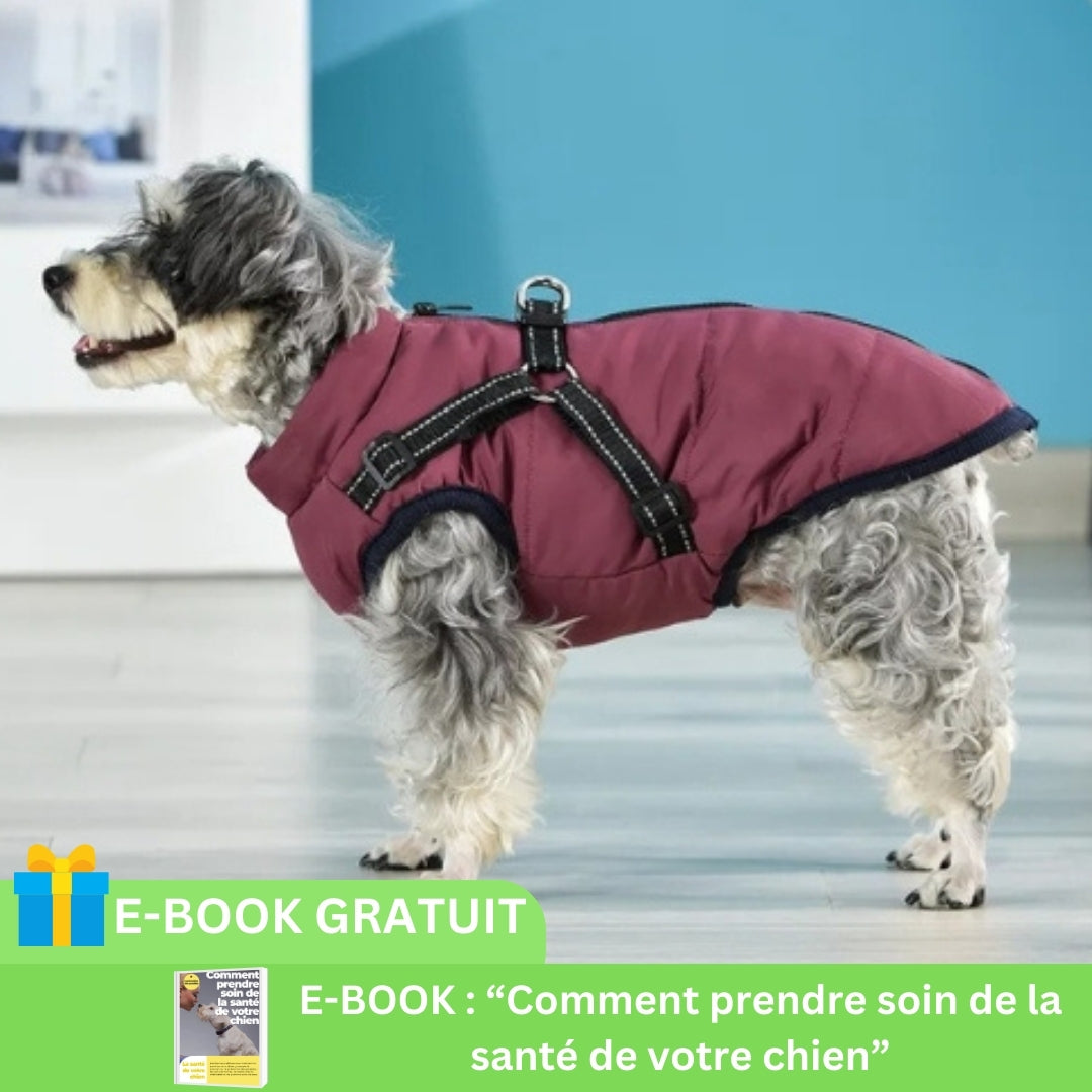 Parka pour chien hot sale