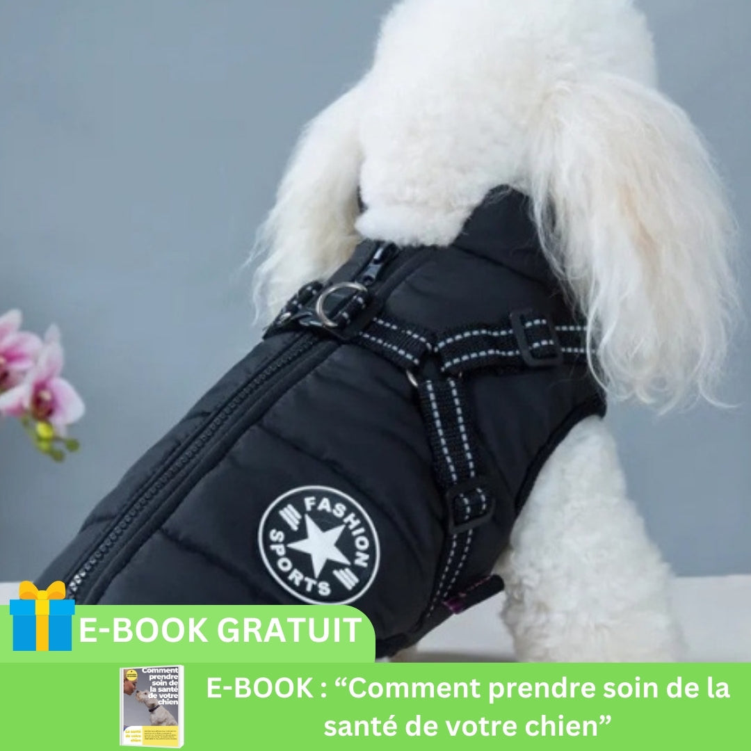 manteau-pour-chien