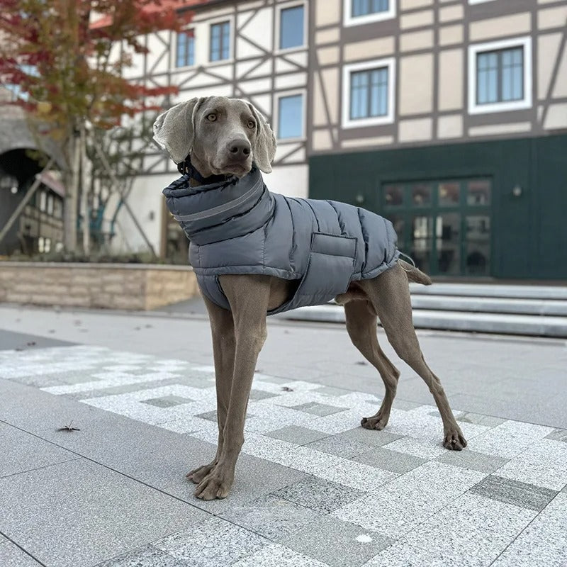 Manteau pour chien | DOGWARM™