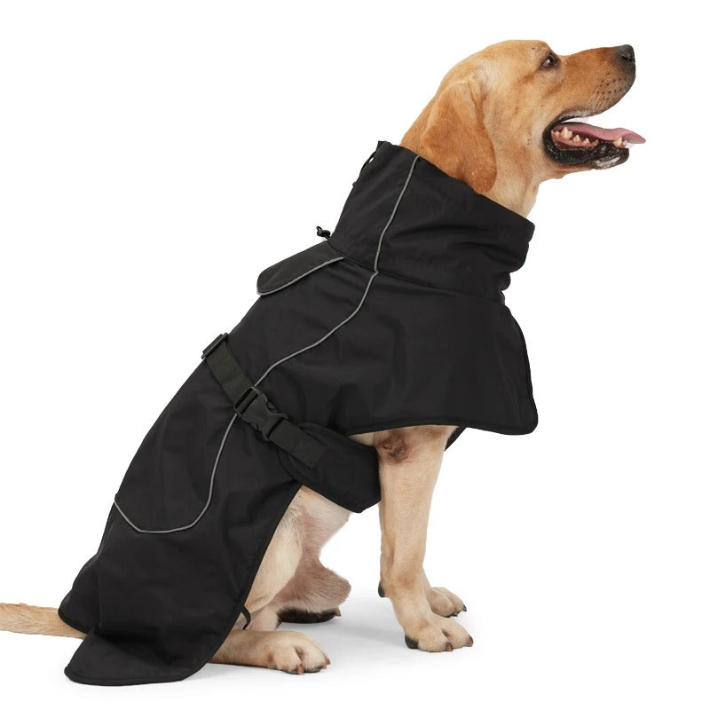 manteau-pour-chien