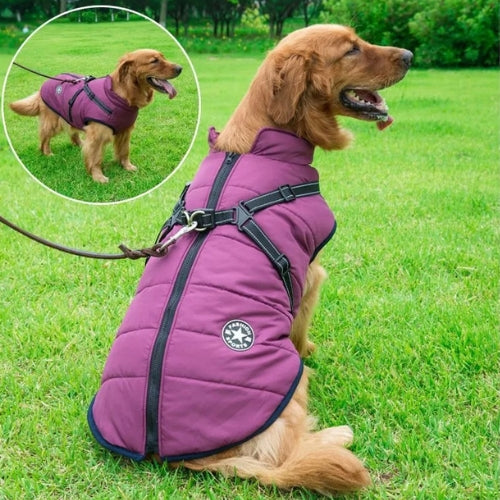 Parka best sale pour chien