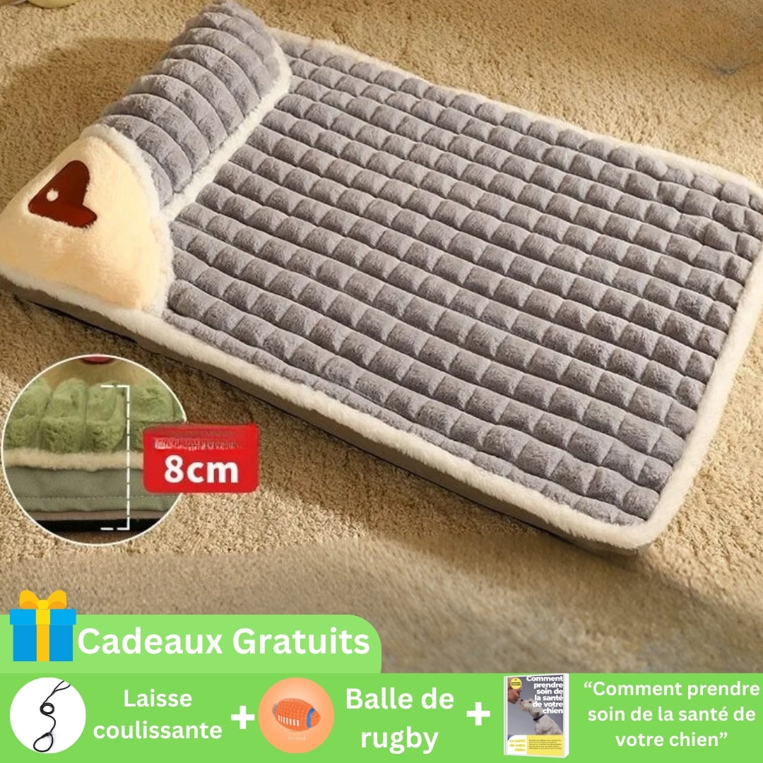 matelas-chien