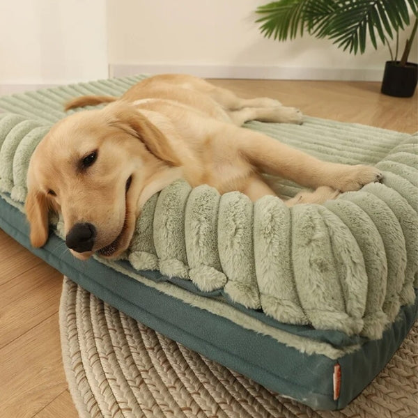 coussin-pour-chien