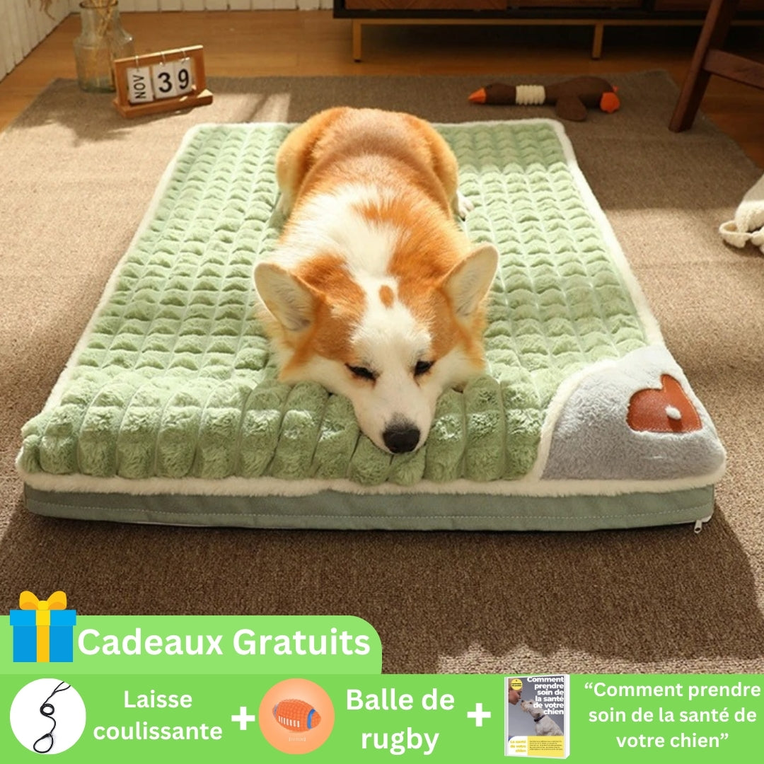 matelas-chien