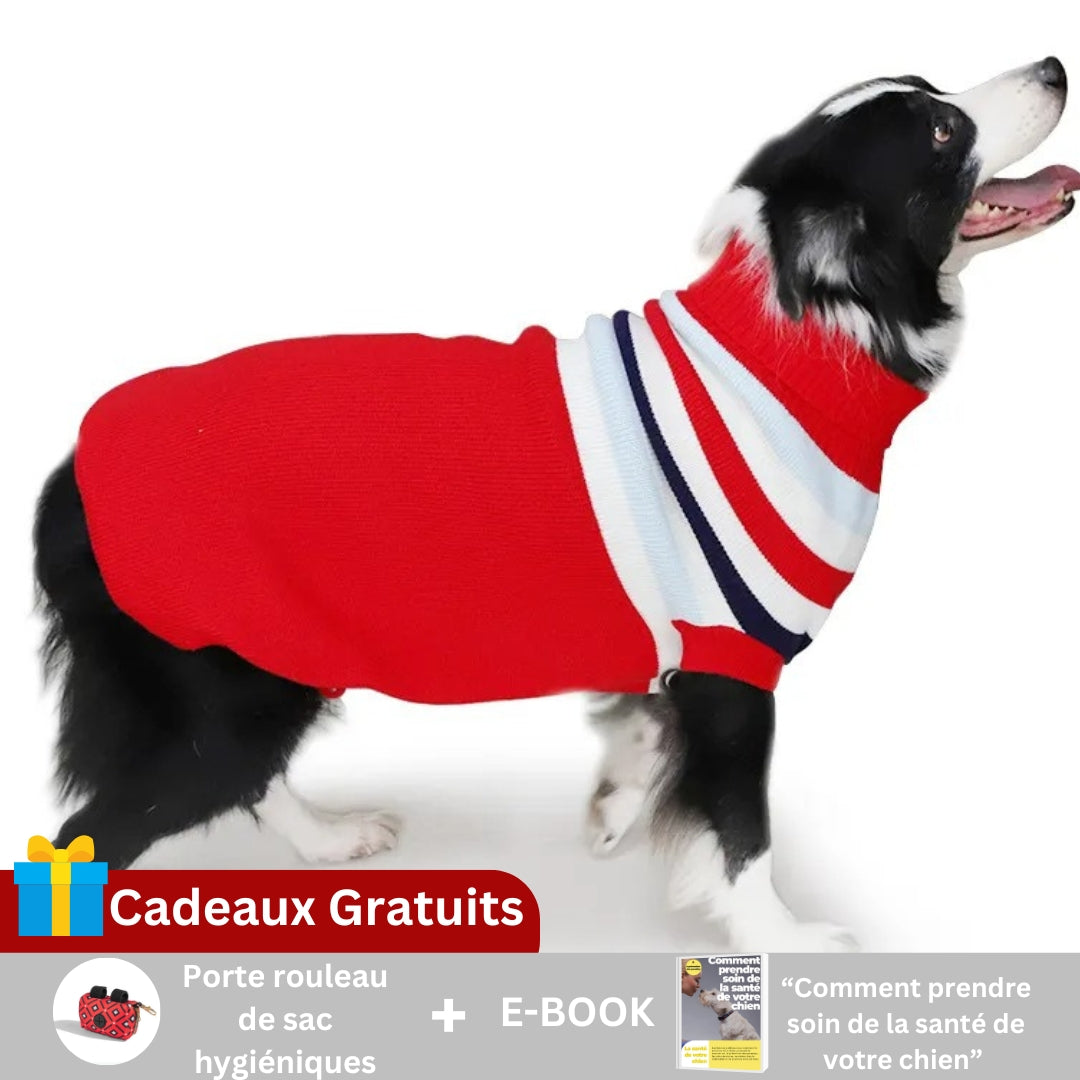 Pull pour chien | TRICODOG™